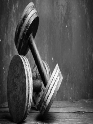 cover image of les bases de musculation